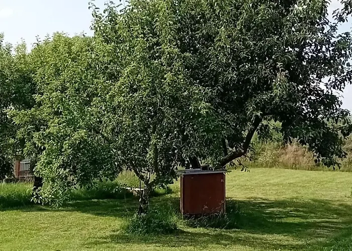 Hof Baethcke By Interhome Apartment Wittendorp